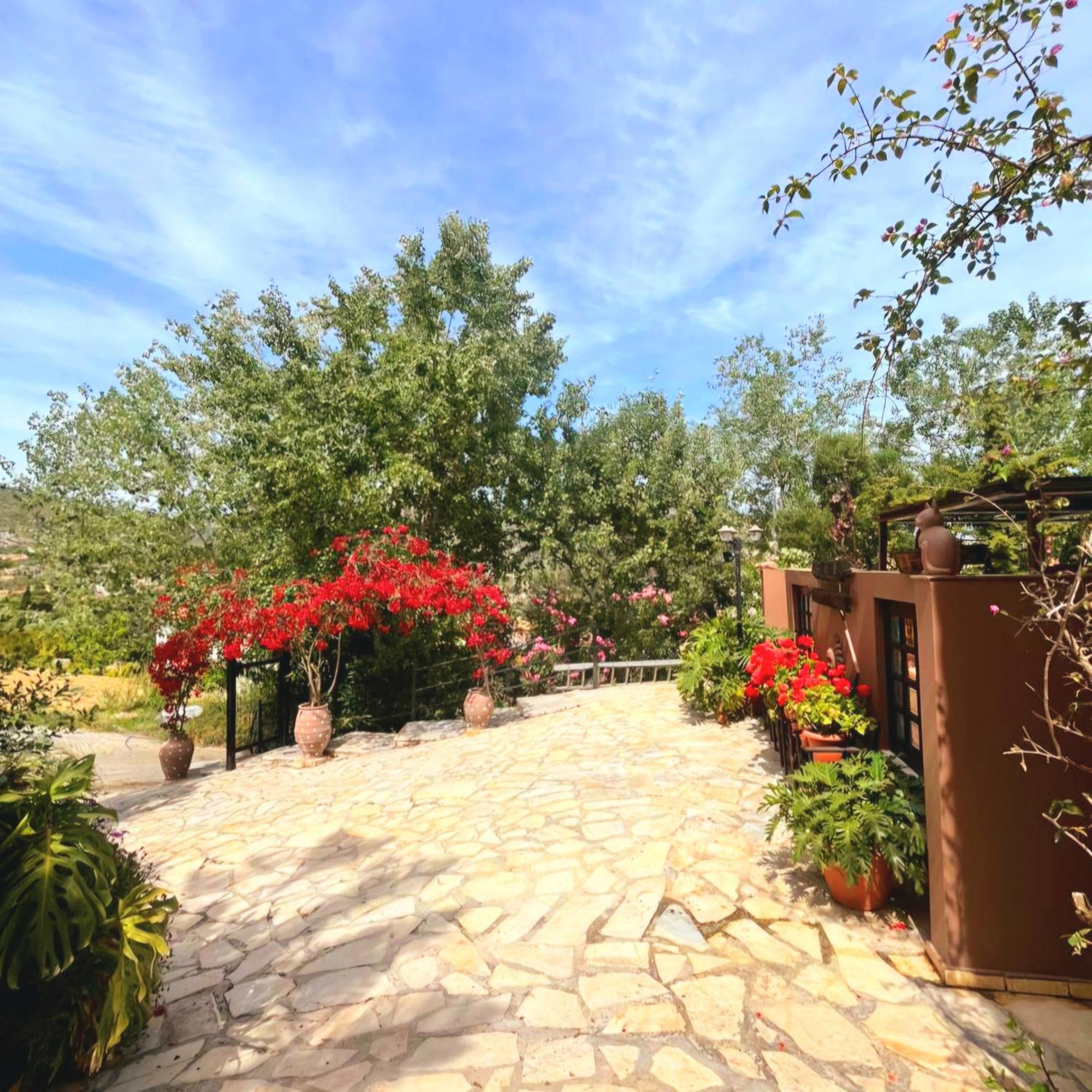 קאטליוס Okeanis Apartments & Suites Adults Only מראה חיצוני תמונה